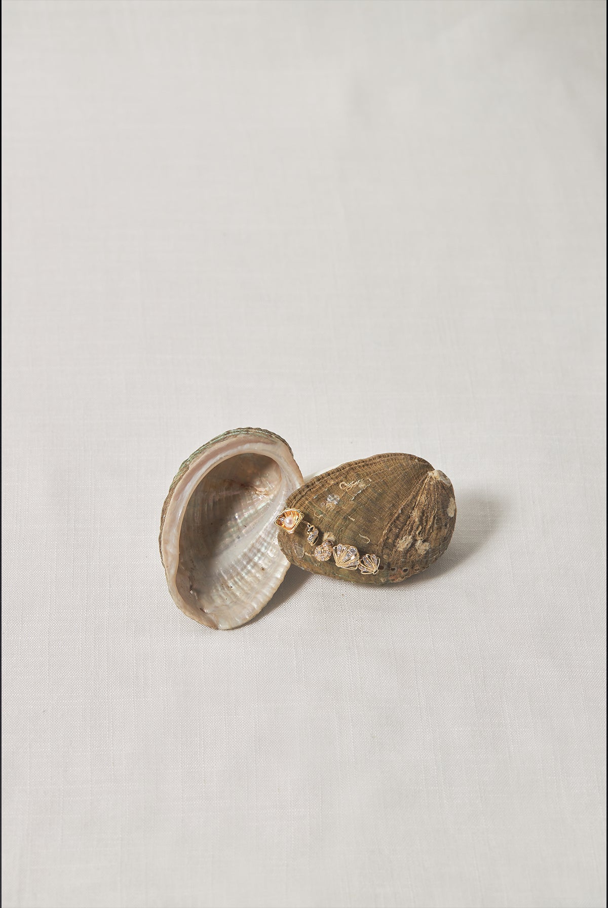 Sea Shell Diamond Studs