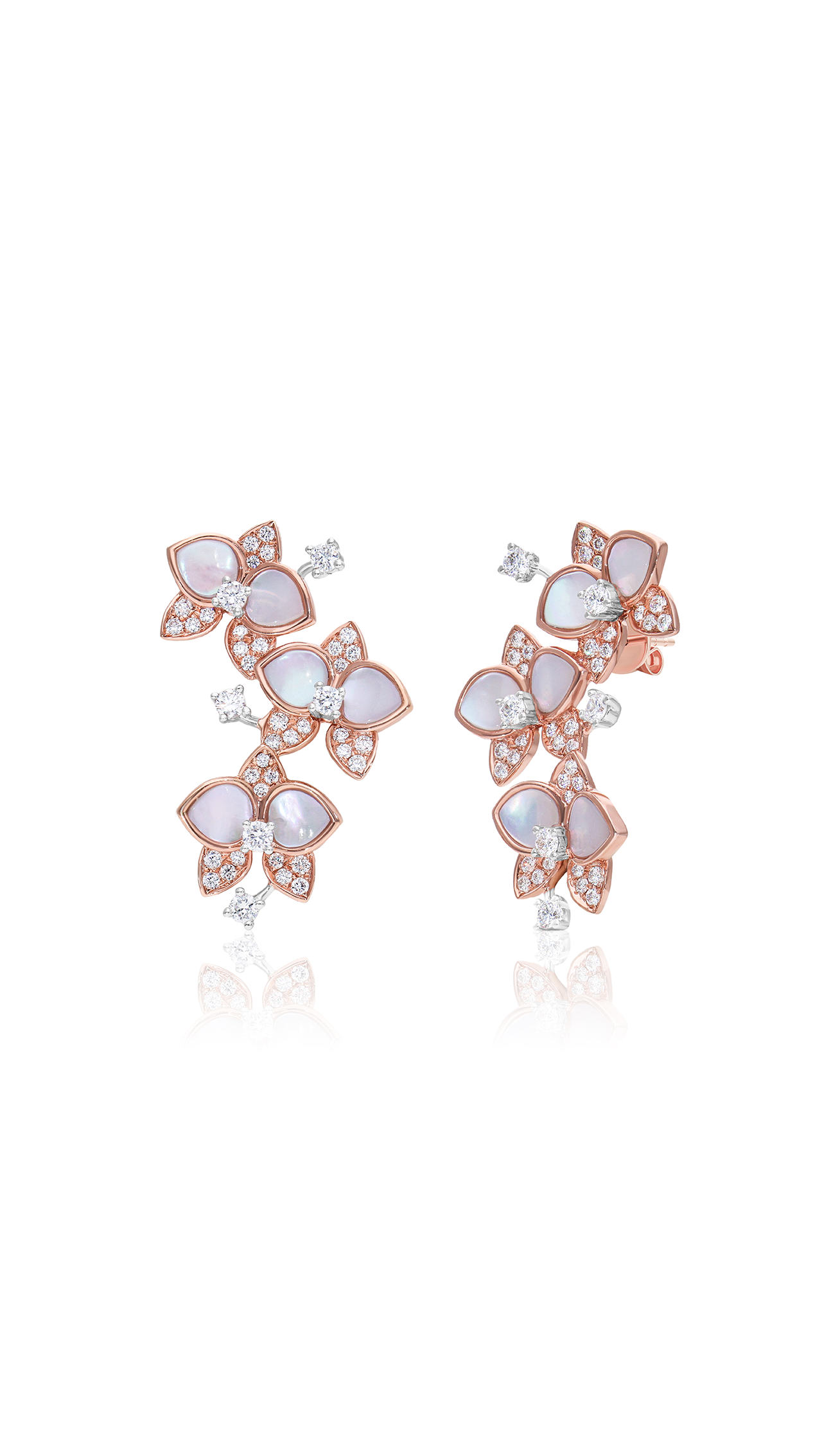 Orchidee Ear Crawlers